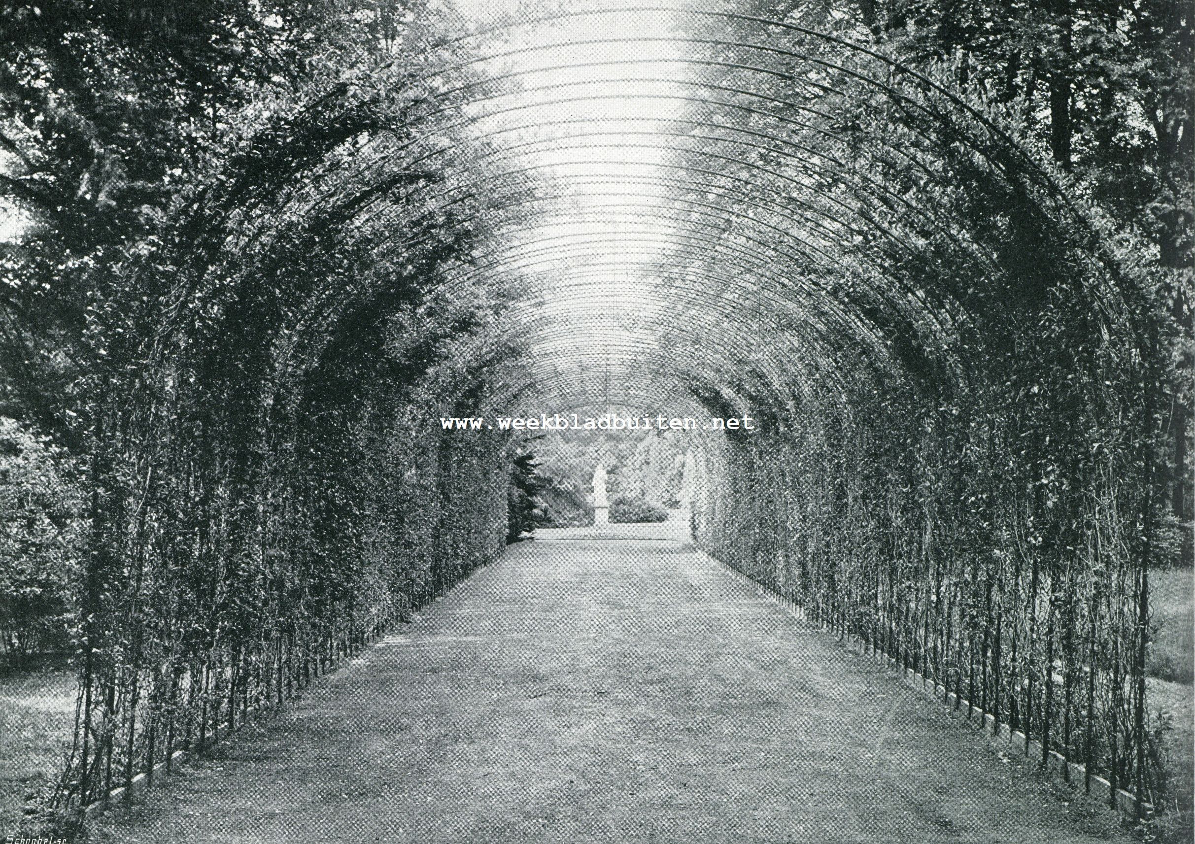 PARK VAN HET LOO. BERCEAU BIJ DE BLOEMISTERIJ
