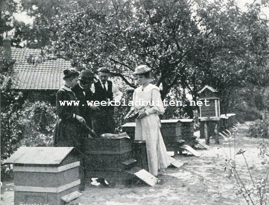 Onderzoek van een kast in 't vroege voorjaar. De imkeres houdt een raampje vast met de koplaat omlaag, om naar broedcellen te zoeken, terwijl toch de raat verticaal blijft. De afgebeelde kasten zijn van het systeem Tukker, die op groote imkerijen, waar met met de bijen reist, goed voldoen