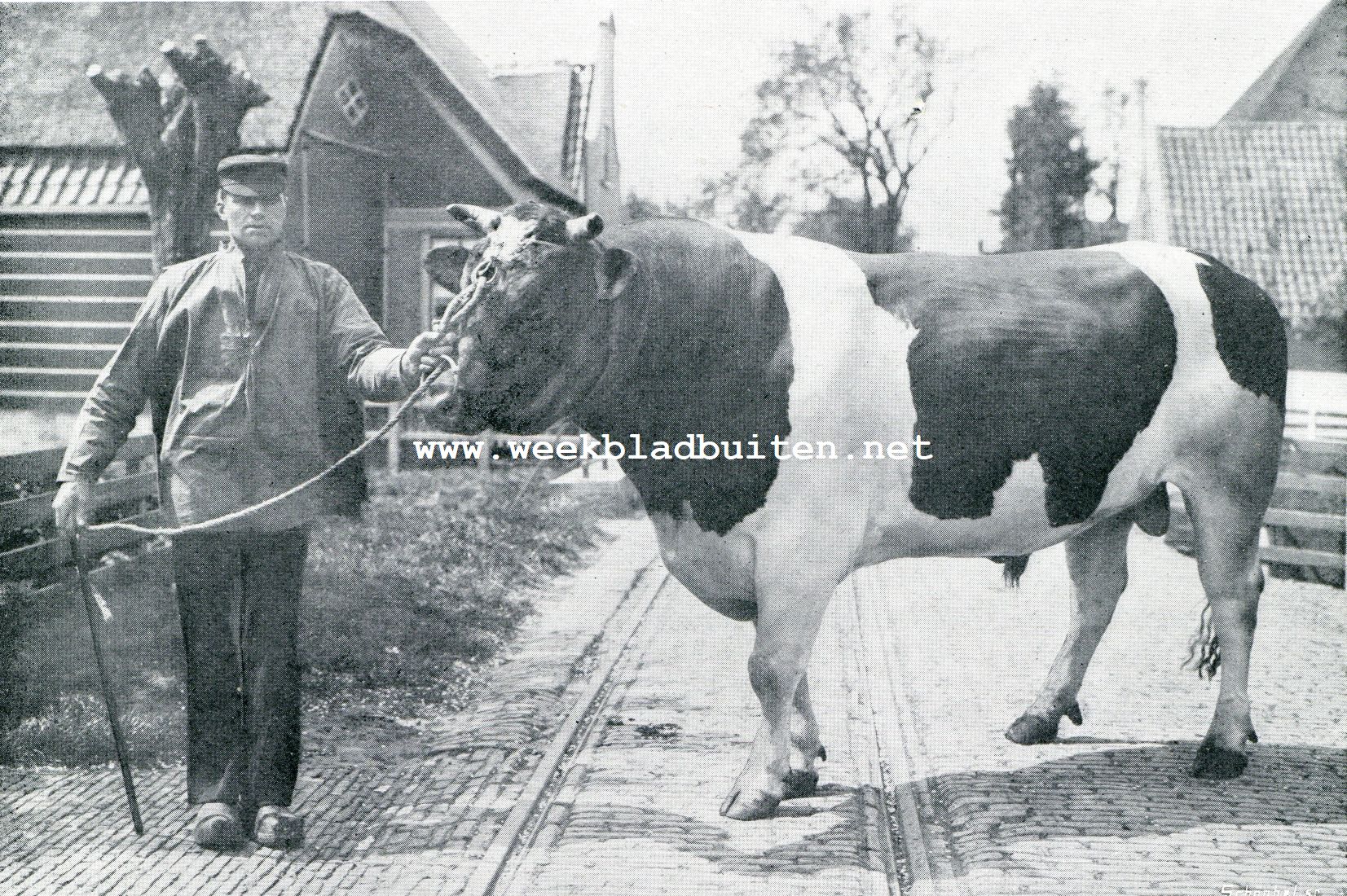 DE ZUIVELFABRIEK EN FOKVEREENIGING TE HOOGKARSPEL. BRINIO