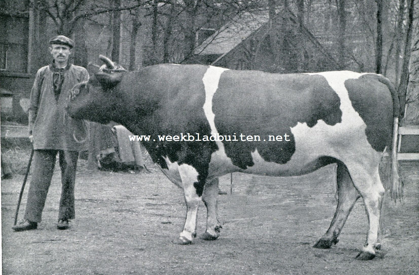 DE ZUIVELFABRIEK EN FOKVEREENIGING TE HOOGKARSPEL. BRINIO II
