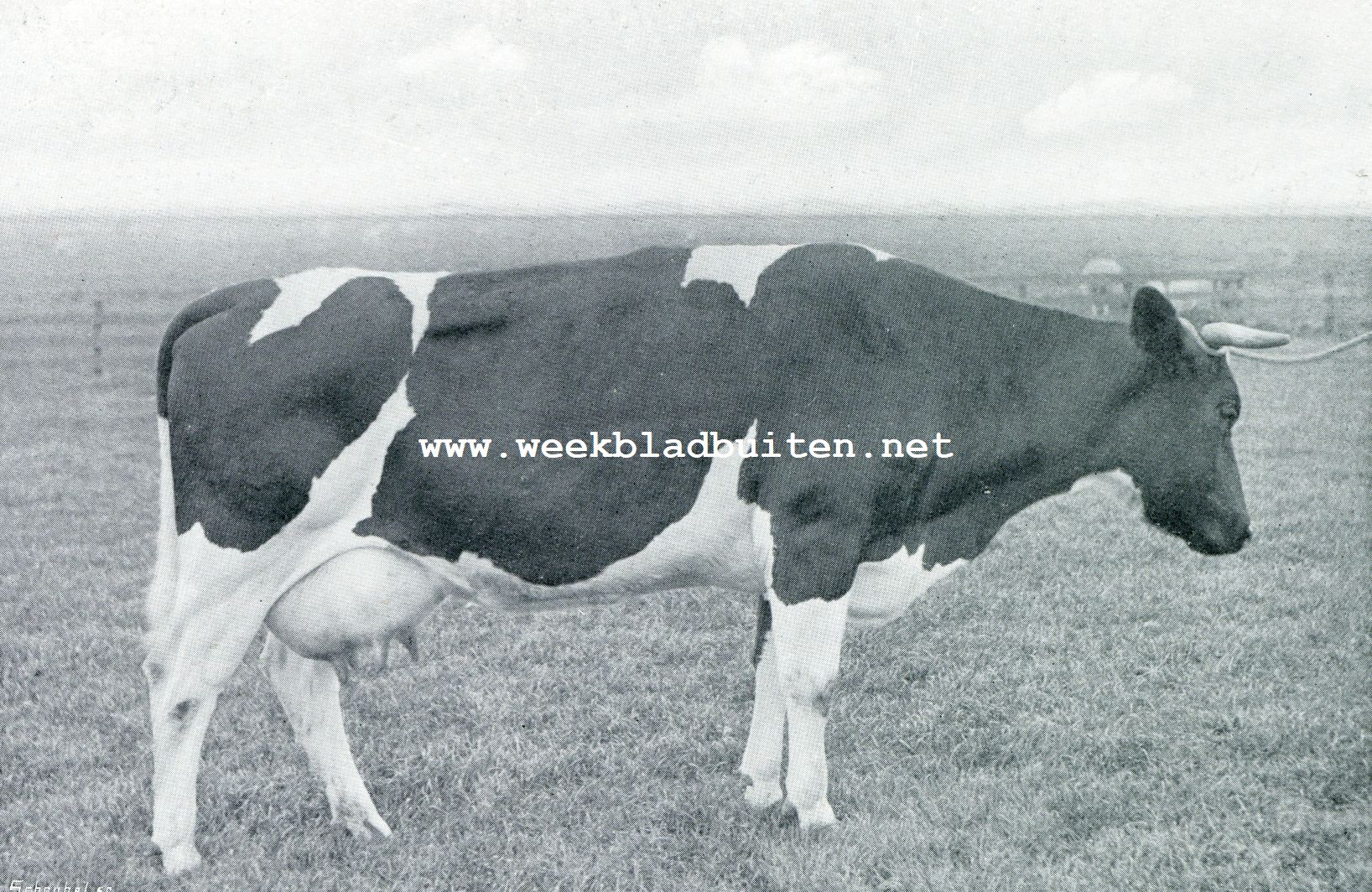 DE ZUIVELFABRIEK EN FOKVEREENIGING TE HOOGKARSPEL. ZWARTHAK III