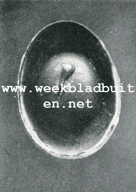 DE ONTWIKKELING VAN HET KUIKEN IN HET HOENDEREI. Eerste dag