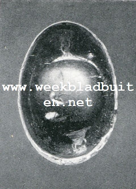 DE ONTWIKKELING VAN HET KUIKEN IN HET HOENDEREI. Tweede dag