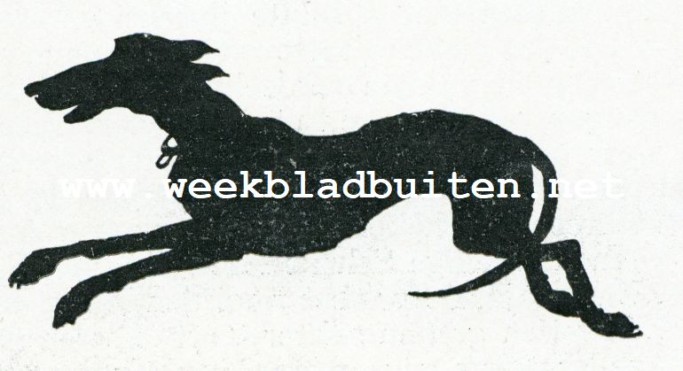 De groote kater Pieter vertelt zijn geschiedenis. Zonder titel 2