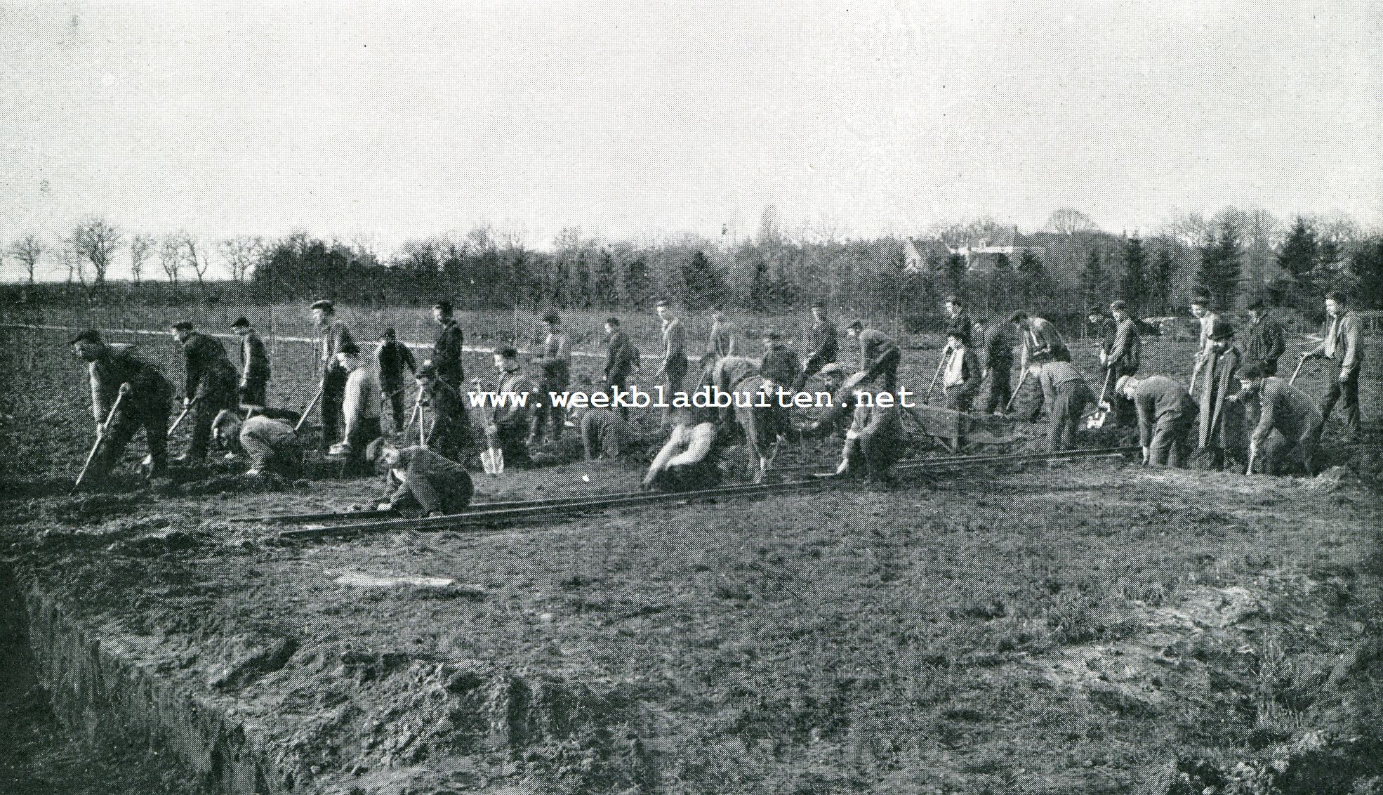 Landbouw. Leerlingen der G.A. van Swieten tuinbouwschool aan den arbeid