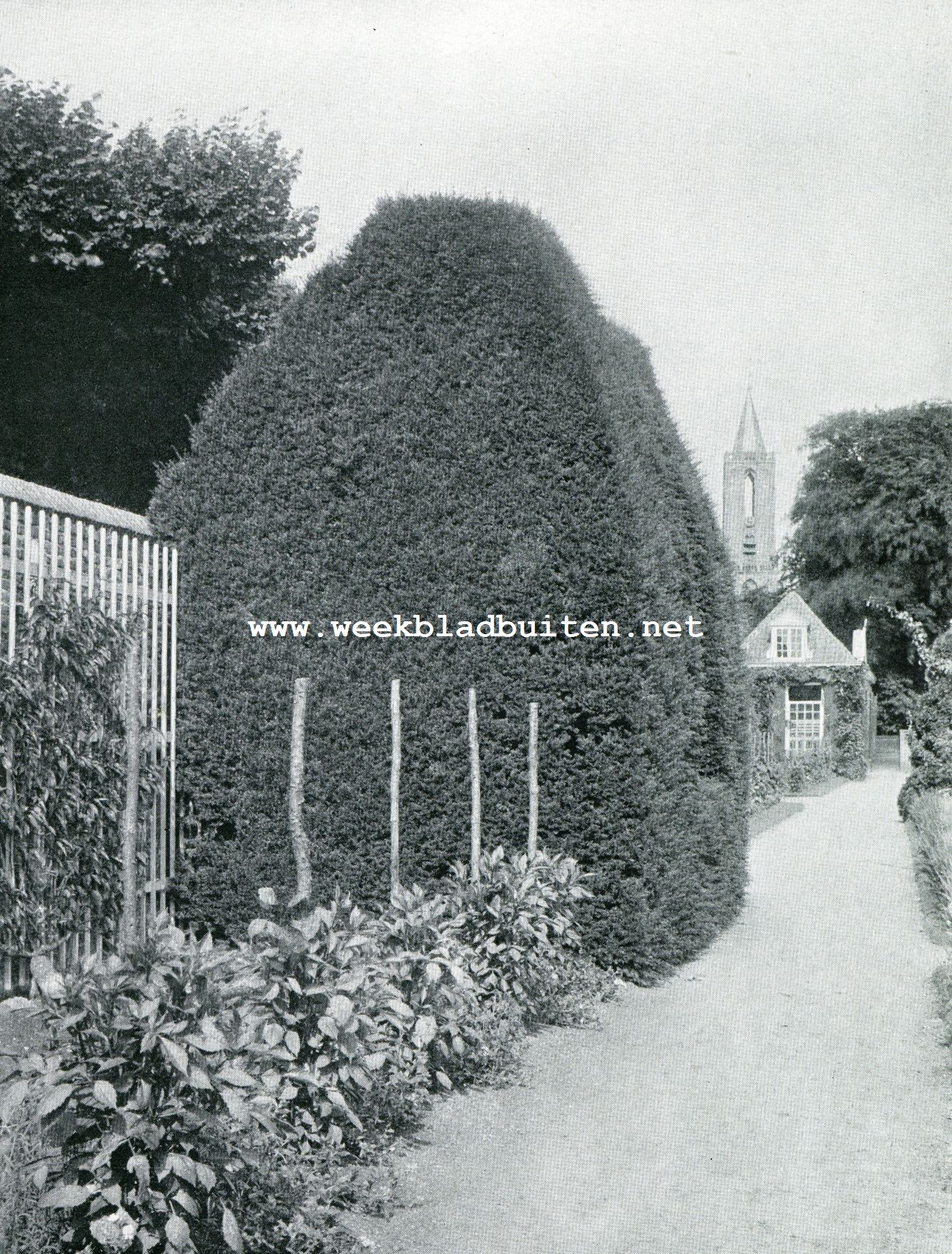 Het Huis te Amerongen. Tuindetail nabij de Oranjerie