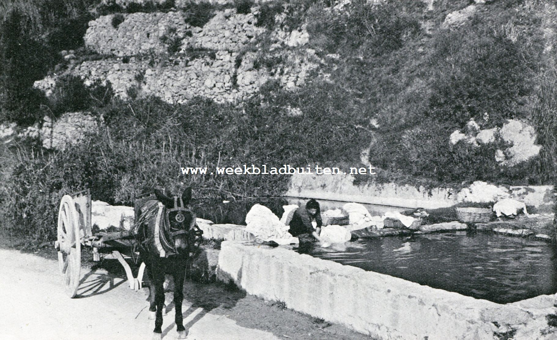 Auto-tocht Genua-Amsterdam. Een hoekje aan den weg bij Spotorno