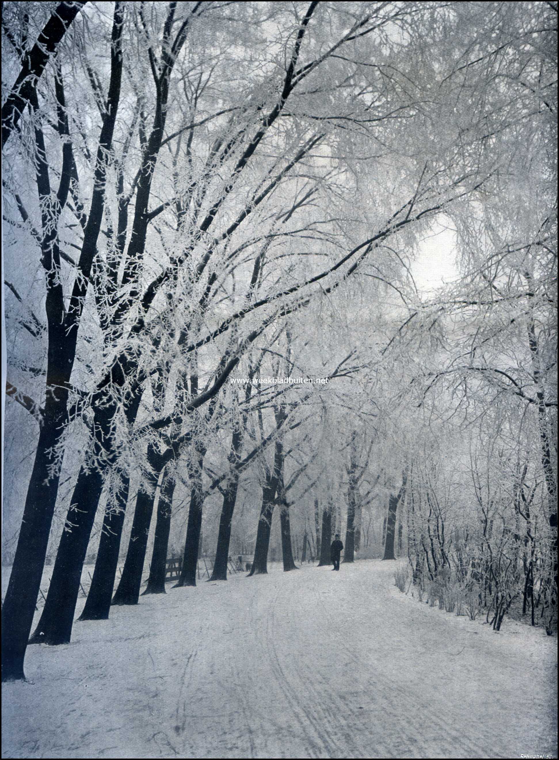 De Witte Winterwereld