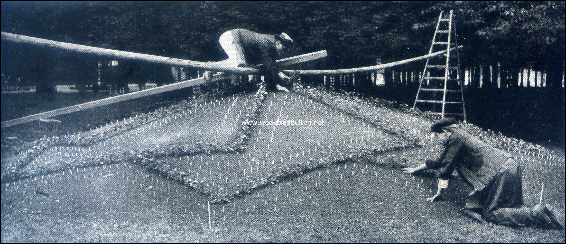 Moza�kvakken. De hoofdlijnen van het vak worden het eerst geplant