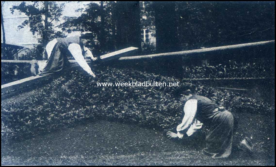 Moza�kvakken. De tusschen de hoofdlijnen liggende vakjes worden van uit het midden beplant