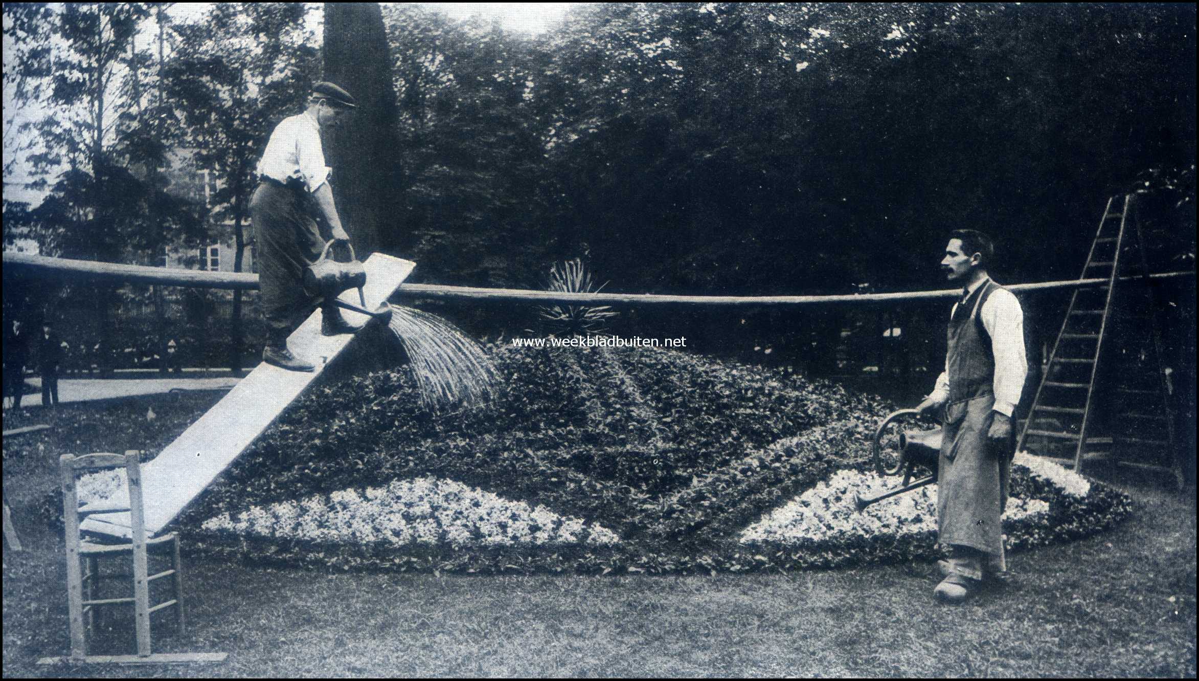 Moza�kvakken. Na de beplanting wordt het vak flink aangegoten