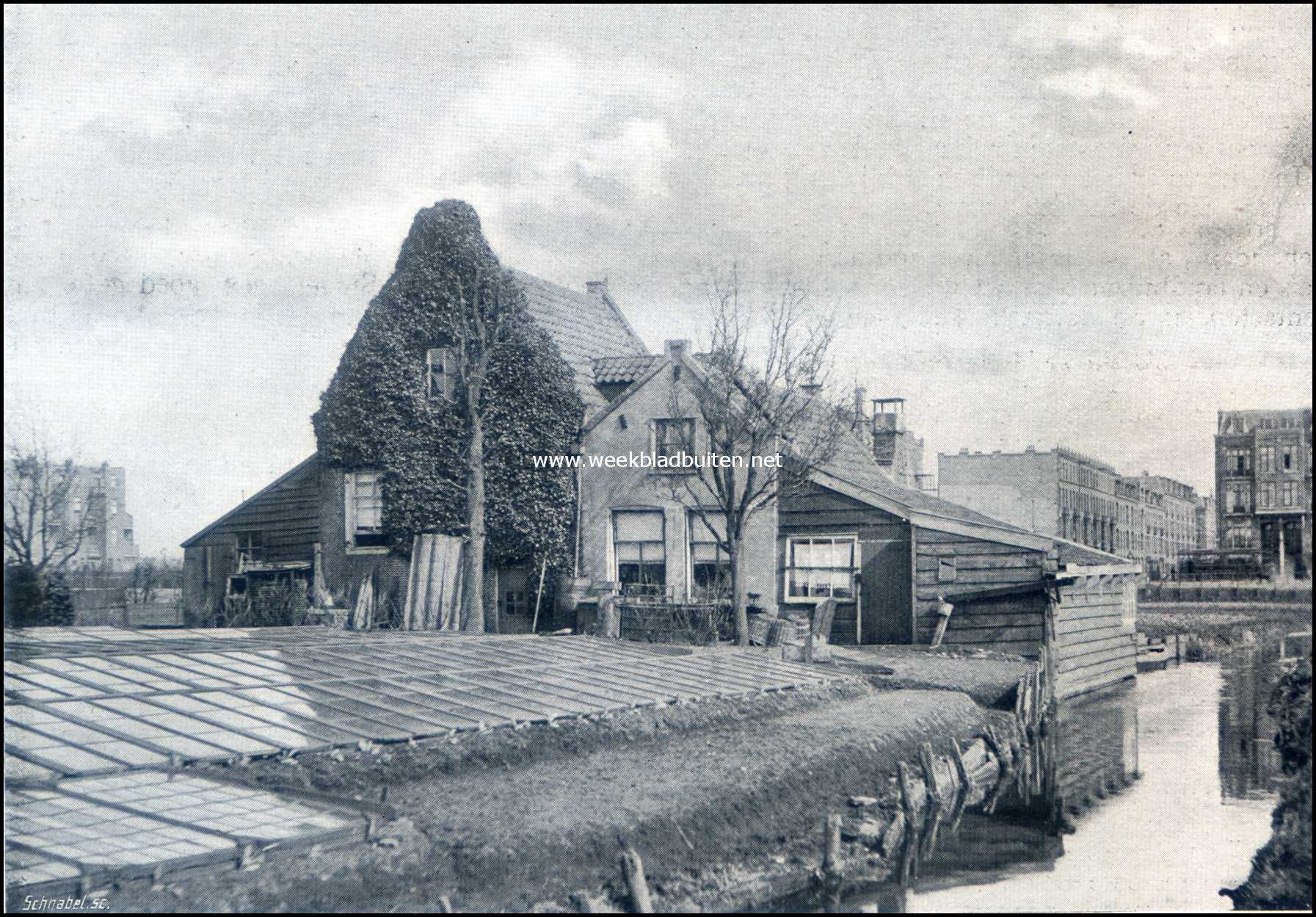 Van den Amsterdamschen zelfkant. Aan de Roelof Hartstraat