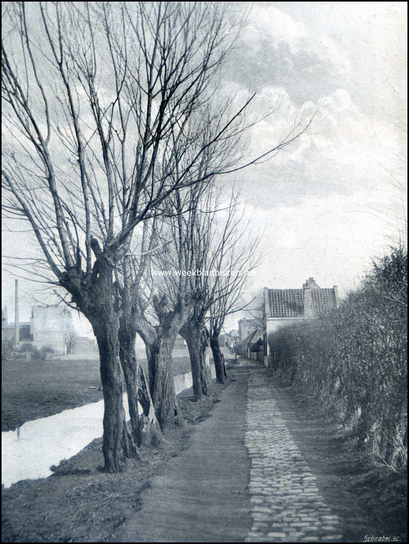 Van den Amsterdamschen zelfkant. Het verlengde van de Tolstraat