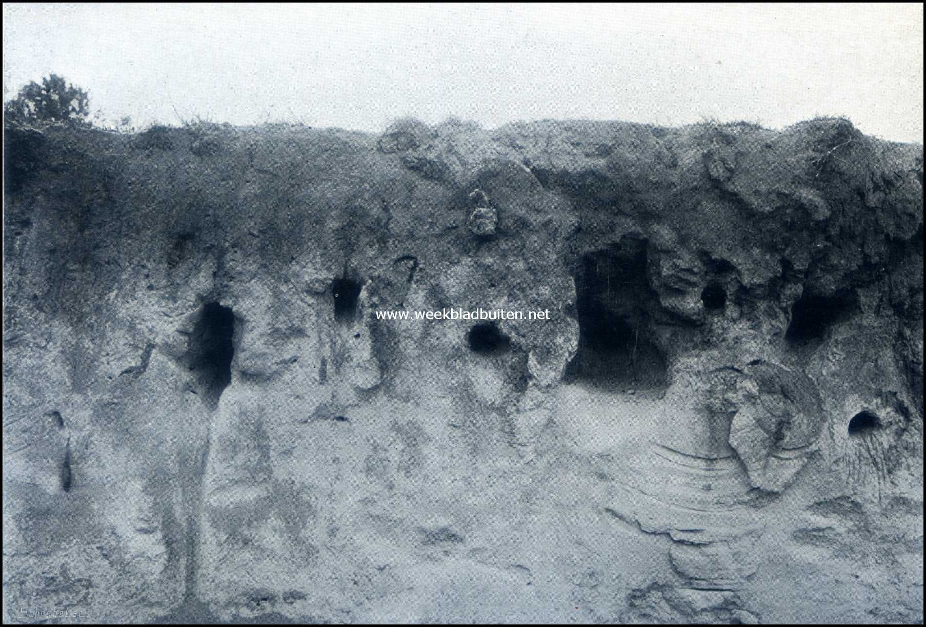 Denekamp en omgeving. Nesten van oeverzwaluwen
