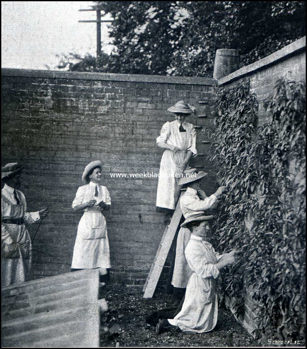 Een vrouwen land- en tuinbouw kolonie in Engeland. Bij de perzikencultuur