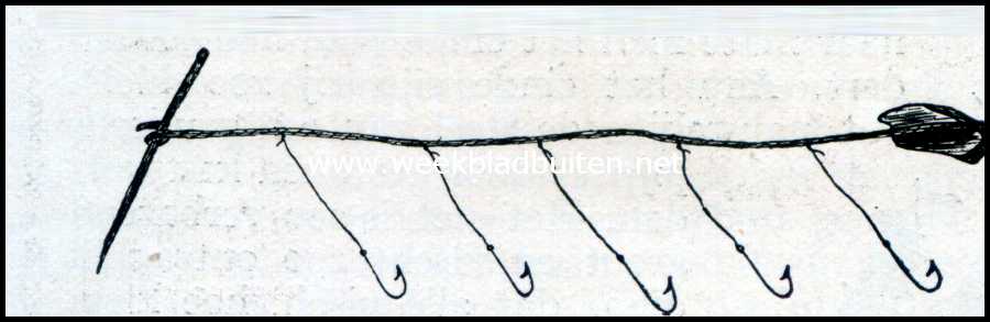 De visscherij. Fig. 20. Aalreep