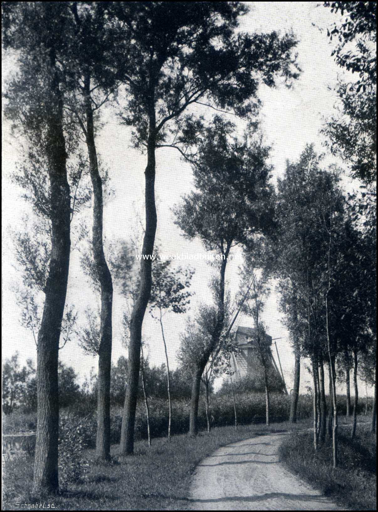 Aan het Gein. De tweede molen