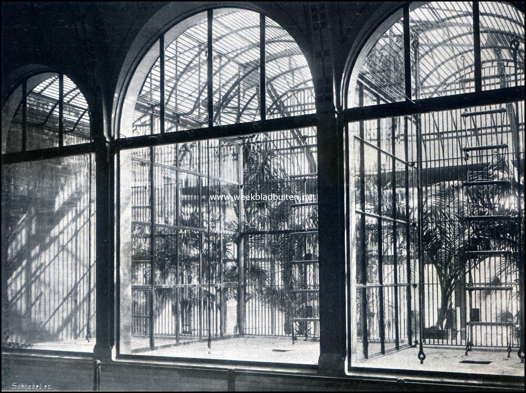 Het nieuwe apenverblijf. Nieuw apenverblijf in 