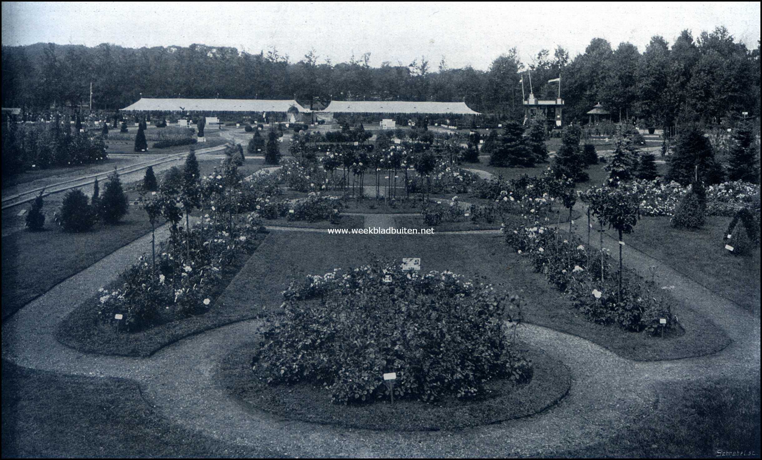 De groote tuinbouwtentoonstelling te Zeist. Detail achterterrein met rosarium van de firma H. Copijn & Zoon, Groenekan