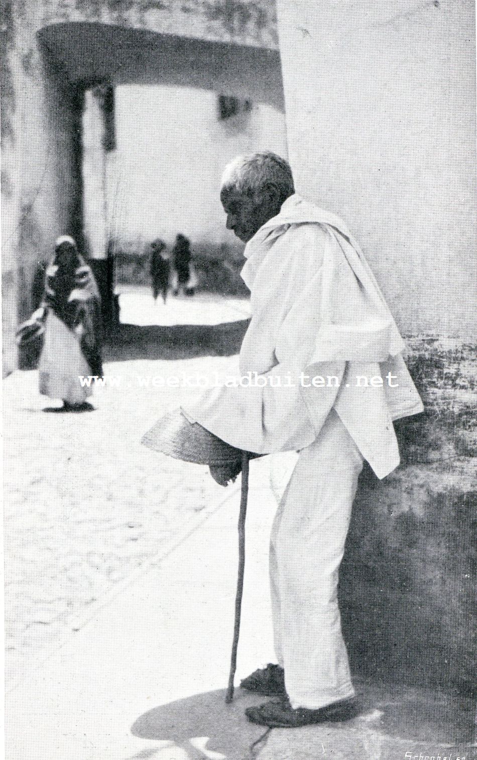 Nuestra Senora de Guadelupe. �. Por el Amor de Dios!?!.�