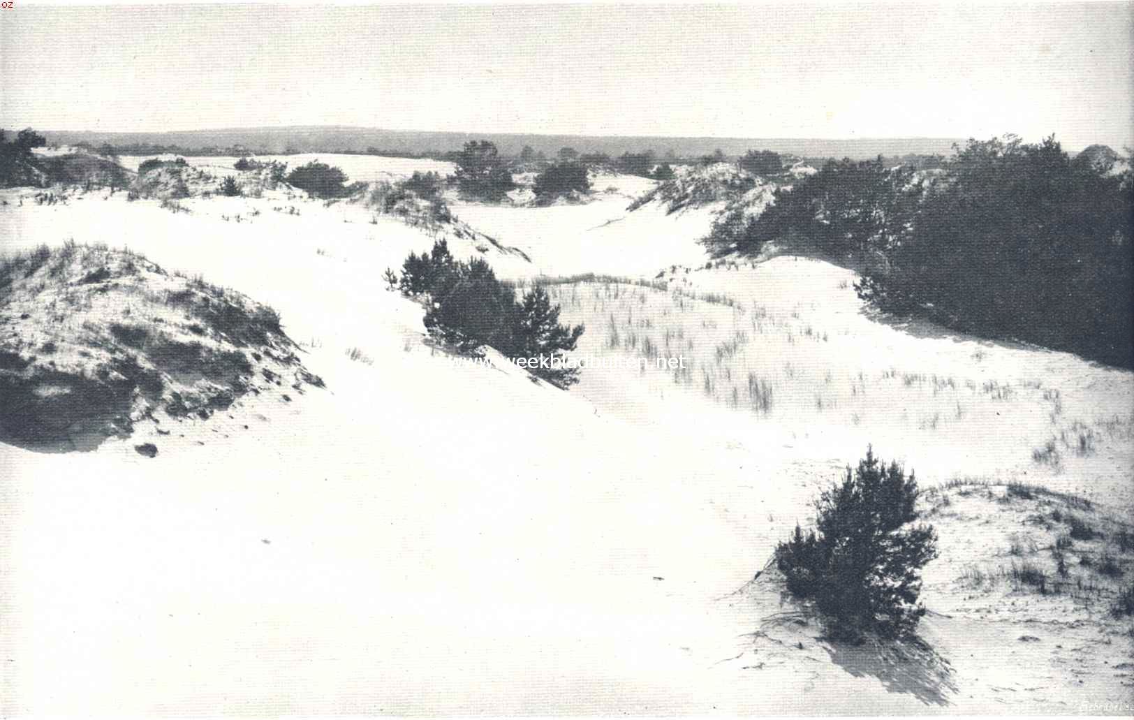 Zandverstuivingen. Het Wekeromsche Zand