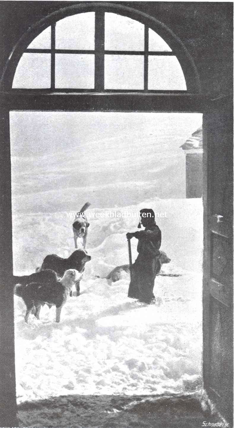 Bij het St. Bernard klooster. Terugkeer der honden van een opsporingstocht in de sneeuw