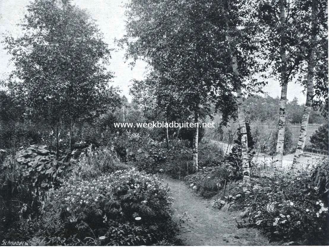 De tuin der Gerard-Adriaan-Van-Swieten-Tuinbouwschool te Frederiksoord. Gedeelte voor de alpinen