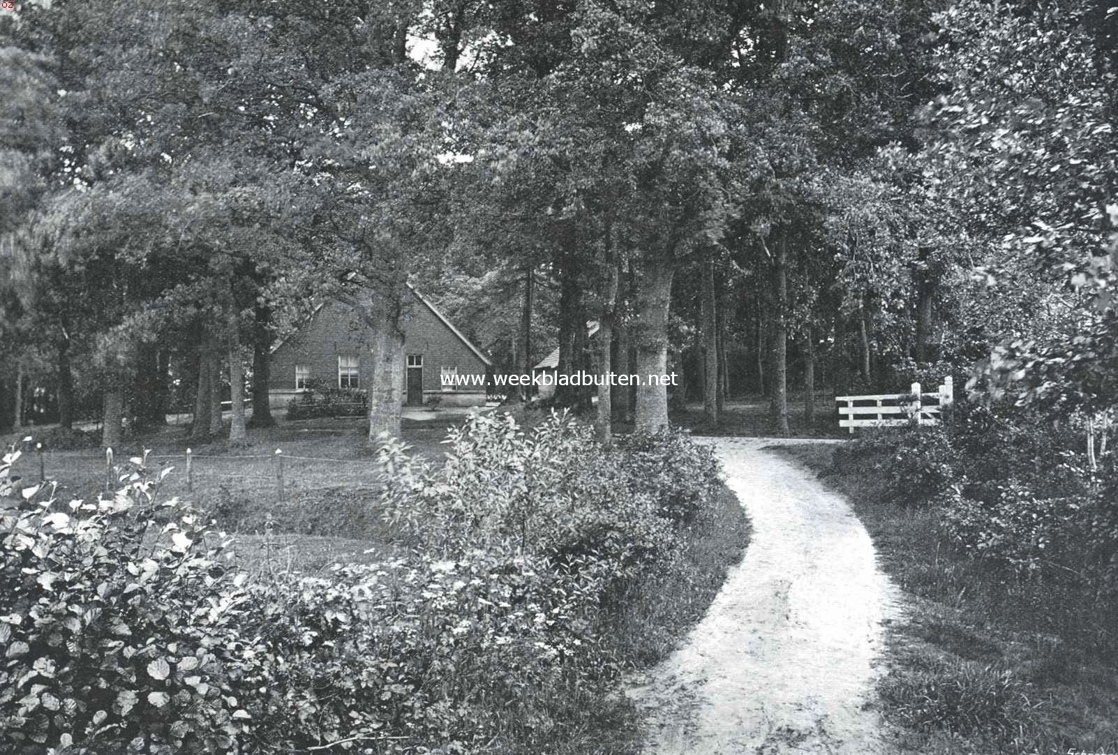 De Lutte bij Oldenzaal. Het erve Duivendal