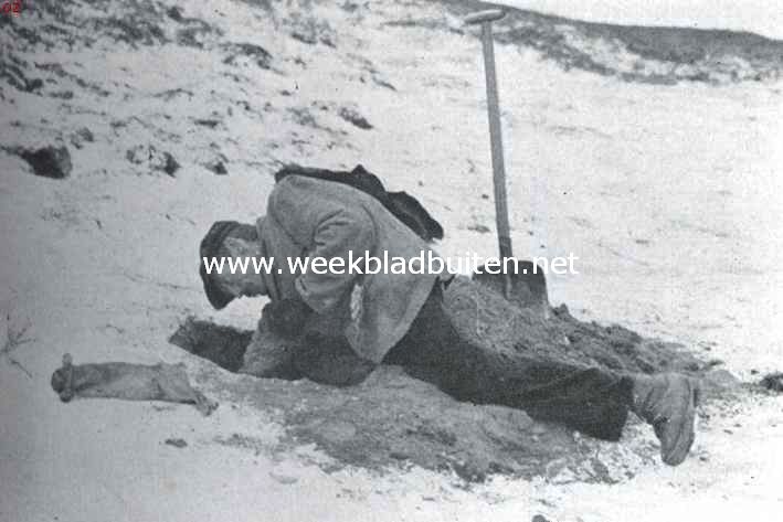  Met den koddebeier op pad. Het konijnendelven