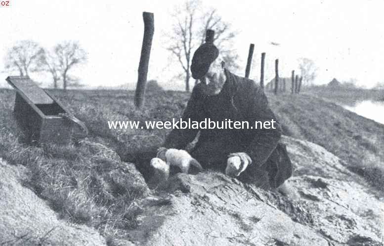  Met den koddebeier op pad. Het fretteeren