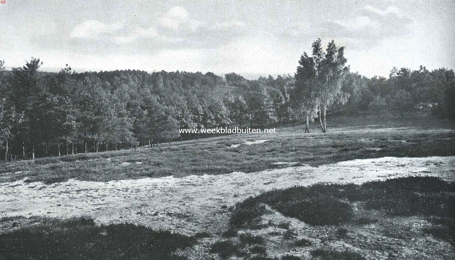 Beekhuizen als bergland. Uitzicht van den Kluizenaarsberg dalafwaarts, op den voorgrond de hoogste der 