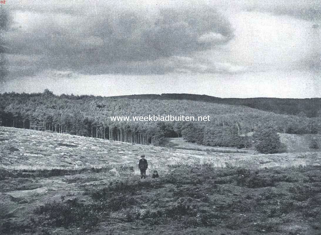 Beekhuizen als bergland. Gezicht van den top van den Kluizenaarsberg op dien van den Zypenberg (in de schaduw liggend)