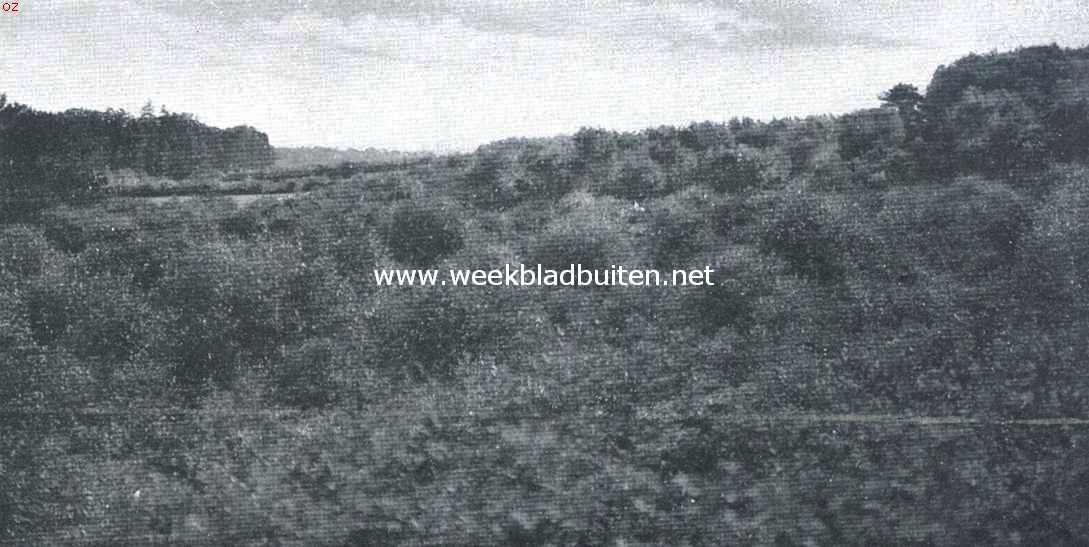 Beekhuizen als bergland. Dalgezicht afwaarts, van den voet van den Kluizenaarsberg. De boomenrij links volgt ongeveer de beek. De dalbodem helt flauw naar links af. Rechts beginnen de lagere 