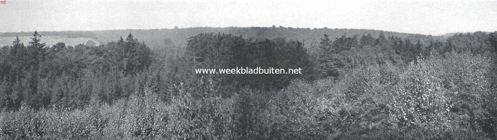 Beekhuizen als bergland. Gezicht tegen de Roozendaalsche Rug tussen Kluizenaars- en Zypenberg, van den tegenoverliggenden 