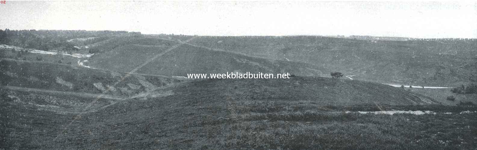 Beekhuizen als bergland. Overzicht van een punt dicht bij den Zypenberg over het bovendeel van het Heuvensche Dal met zijdalen. Het hoofddal wordt aangewezen door den naar boven in kleine zandstuivingen uitloopenden weg. Rechts op den achtergrond de Tasselt en de Onzalige bosschen