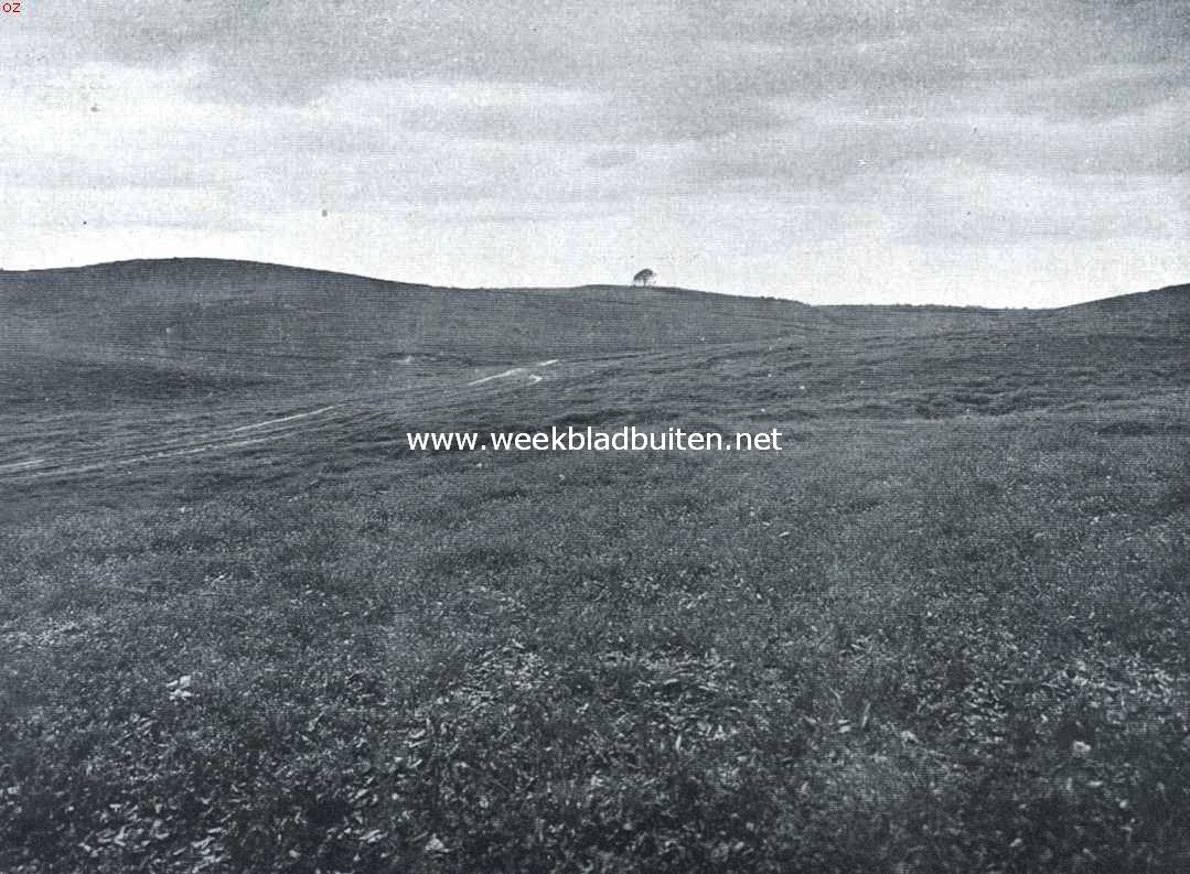 Beekhuizen als bergland. Herkhuizer dal, het bovenste boomlooze gedeelte in opwaartsche richting gezien. Het karrespoor geeft den dalbodem aan. Aan den linkerkant schuiven vlakke heuvelruggen voor elkaar langs