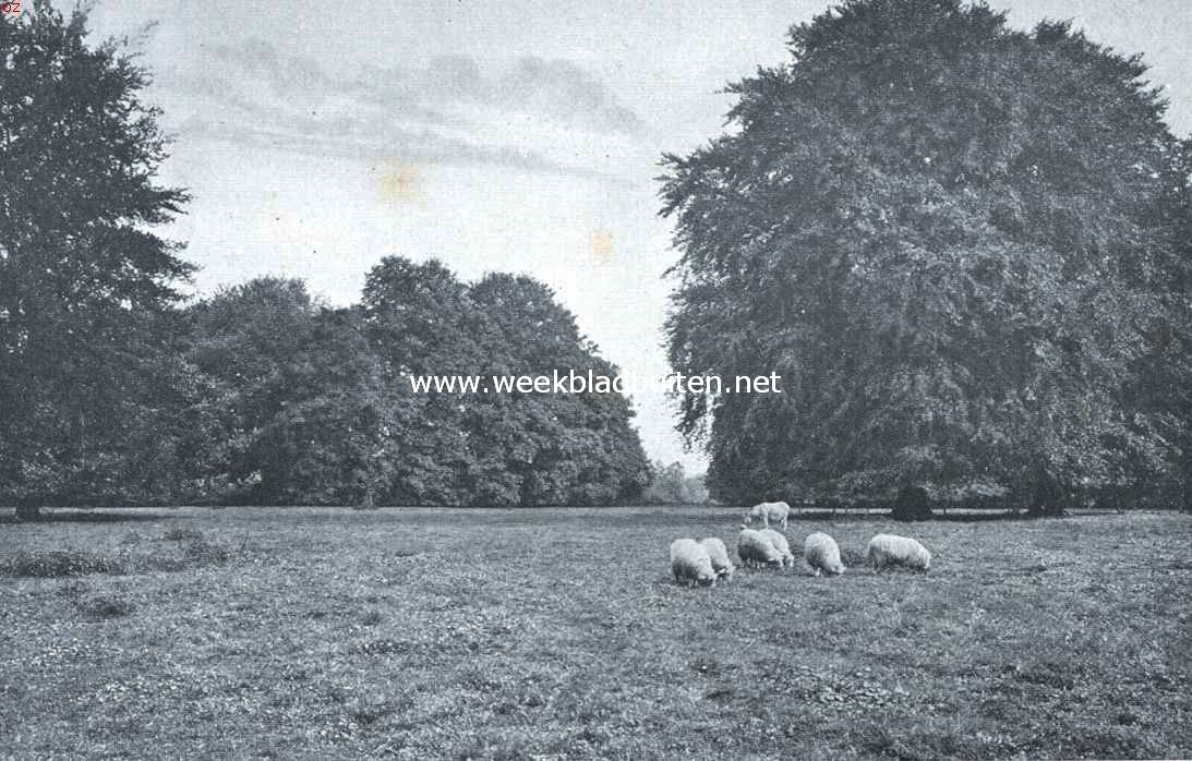Het landgoed Beukenburg. De weide voor het huis