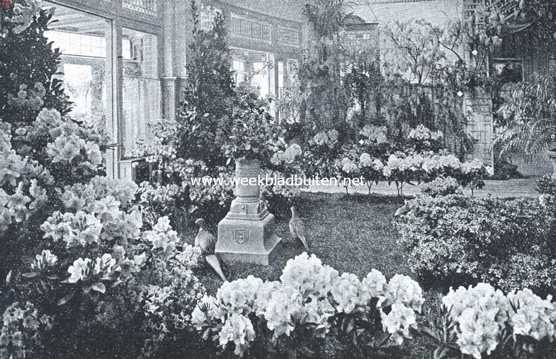 Kijkje in de zaal der Rotterdamsche Officieren-soci�teit tijdens de onlangs aldaar gehouden tentoonstelling van in bloei getrokken Boskoopsche heesters