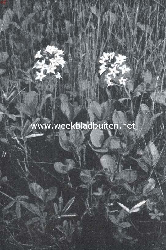 Heiveen. Waterklavier