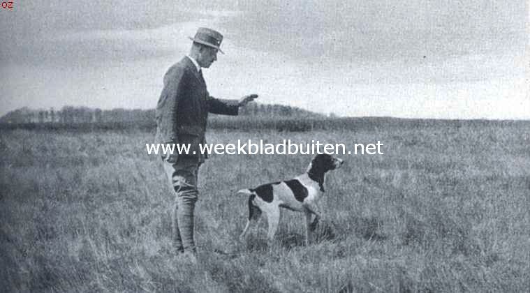 Veldwedstrijden voor honden. Het voorjagen van 'n hond