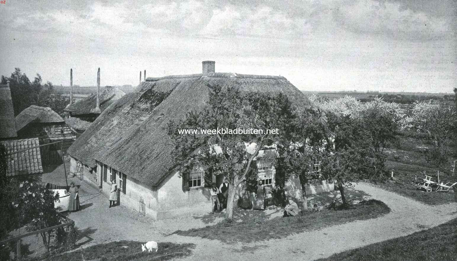 In het land van de bloeiende kerseboomen. Betuwsch huisje aan den rivierdijk