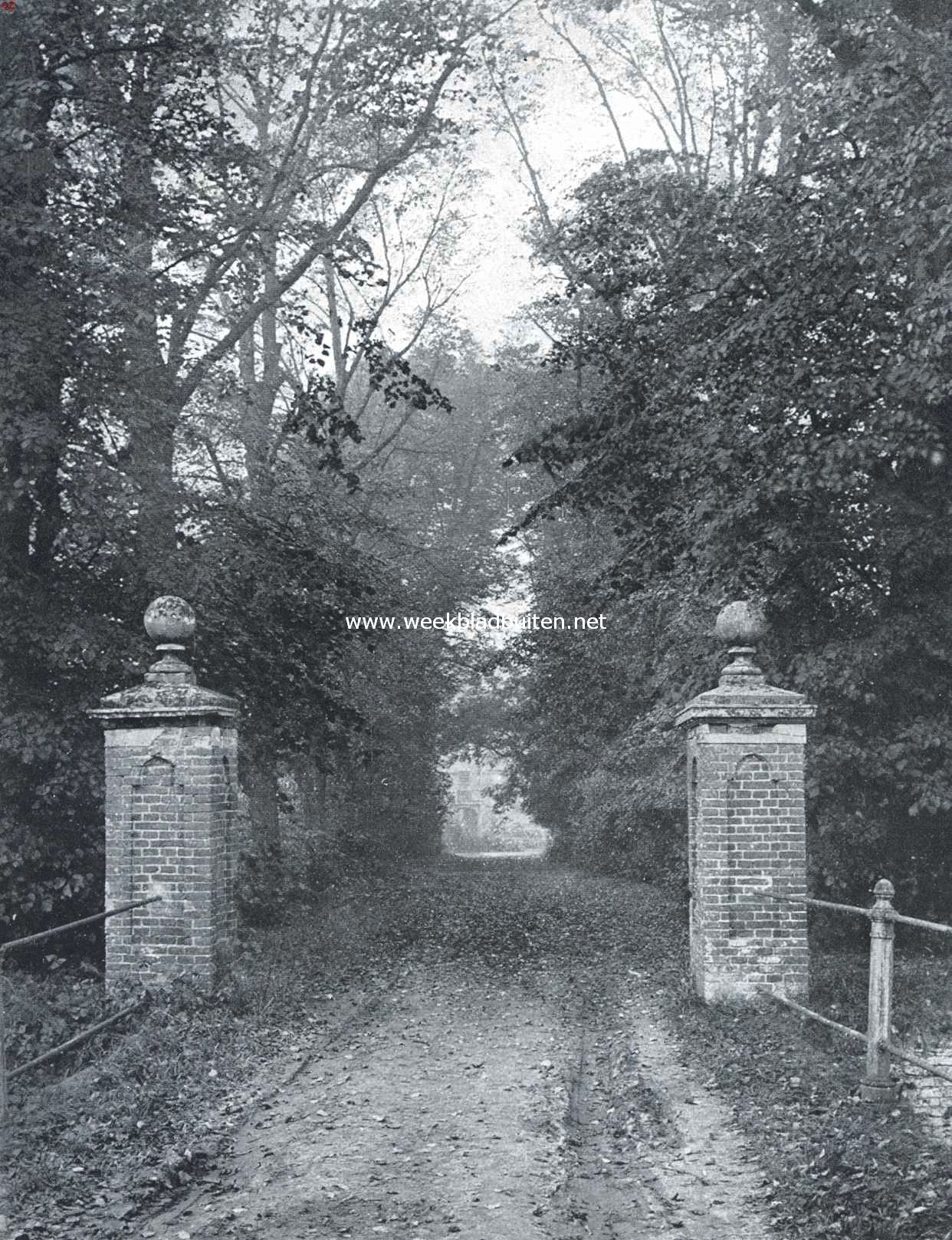 Het kasteel Hernen. De Slotlaan in den herfst