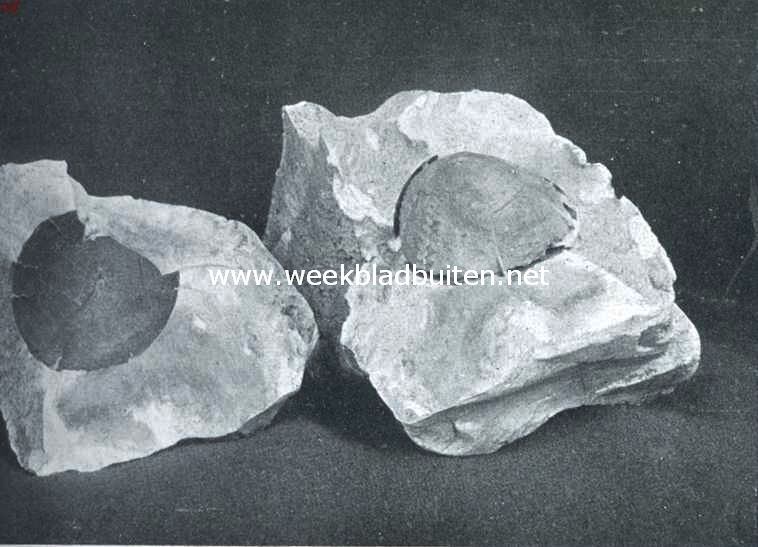 Het geheim van den steen. De in twee�n gespleten steen