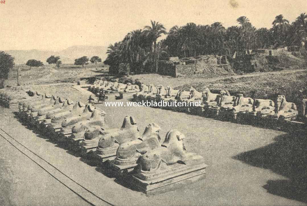 De Nijlreis.De Laan van de Liggende Ramsbeelden voor den ingang van den vroegeren Ammonstempel te Karnak (Theben)