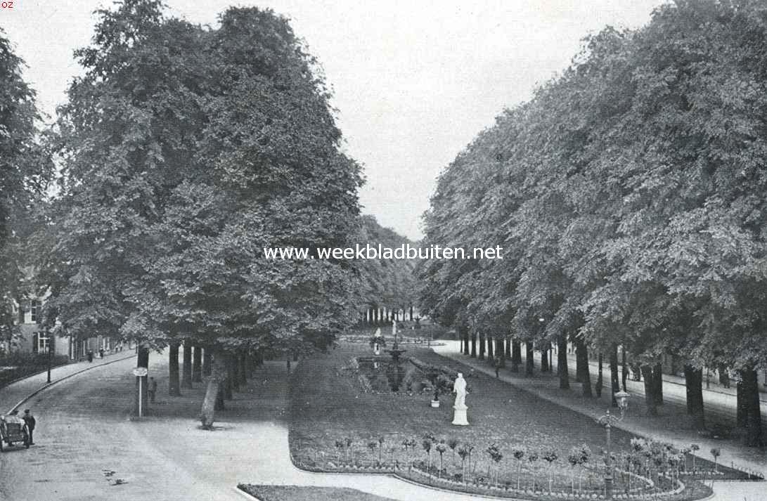 De Janssingel te Arnhem, welks prachtige boomen weldra zullen moeten vallen