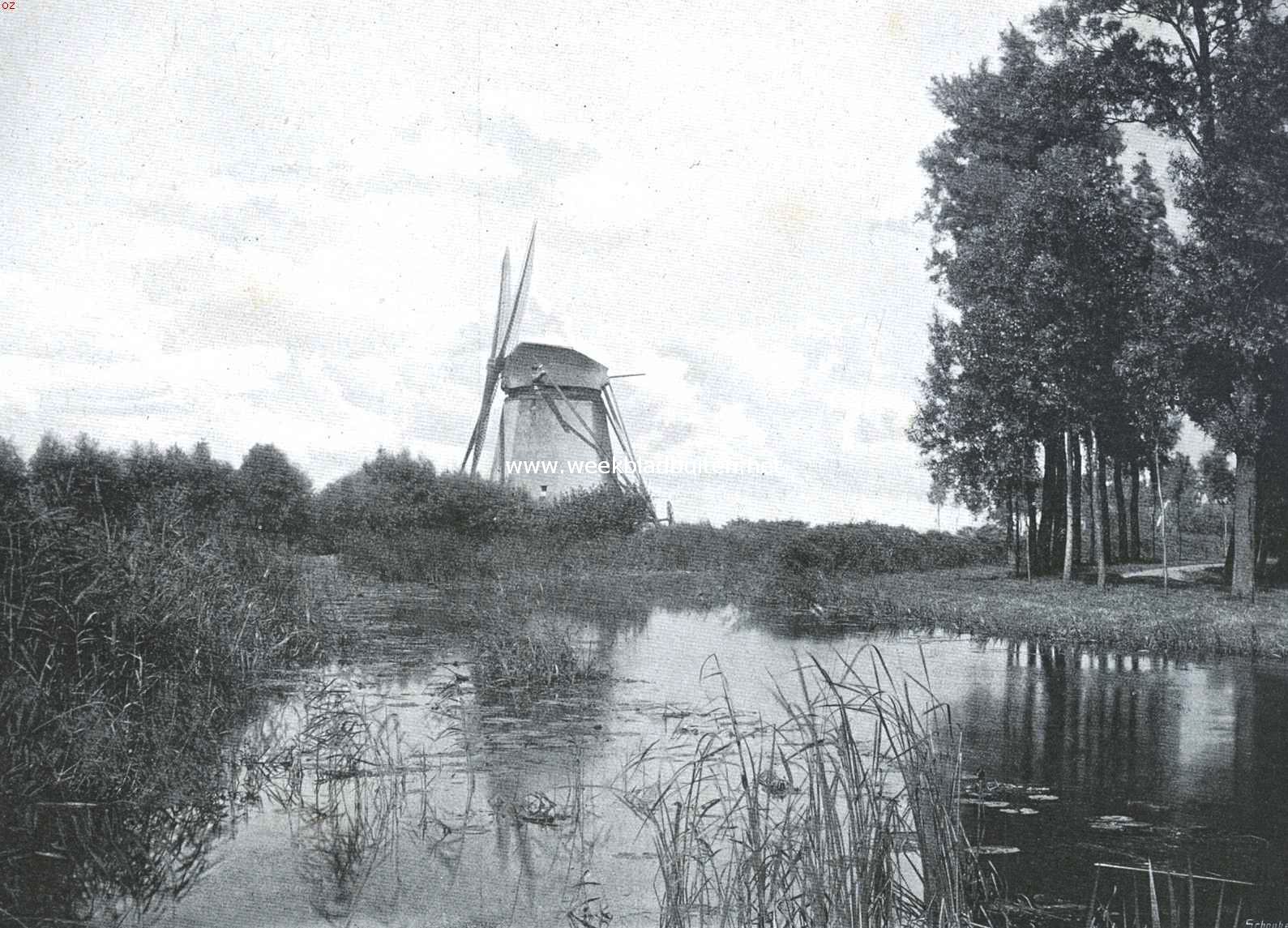 Onze windmolen-typen. Lage bovenkruier aan het Gein