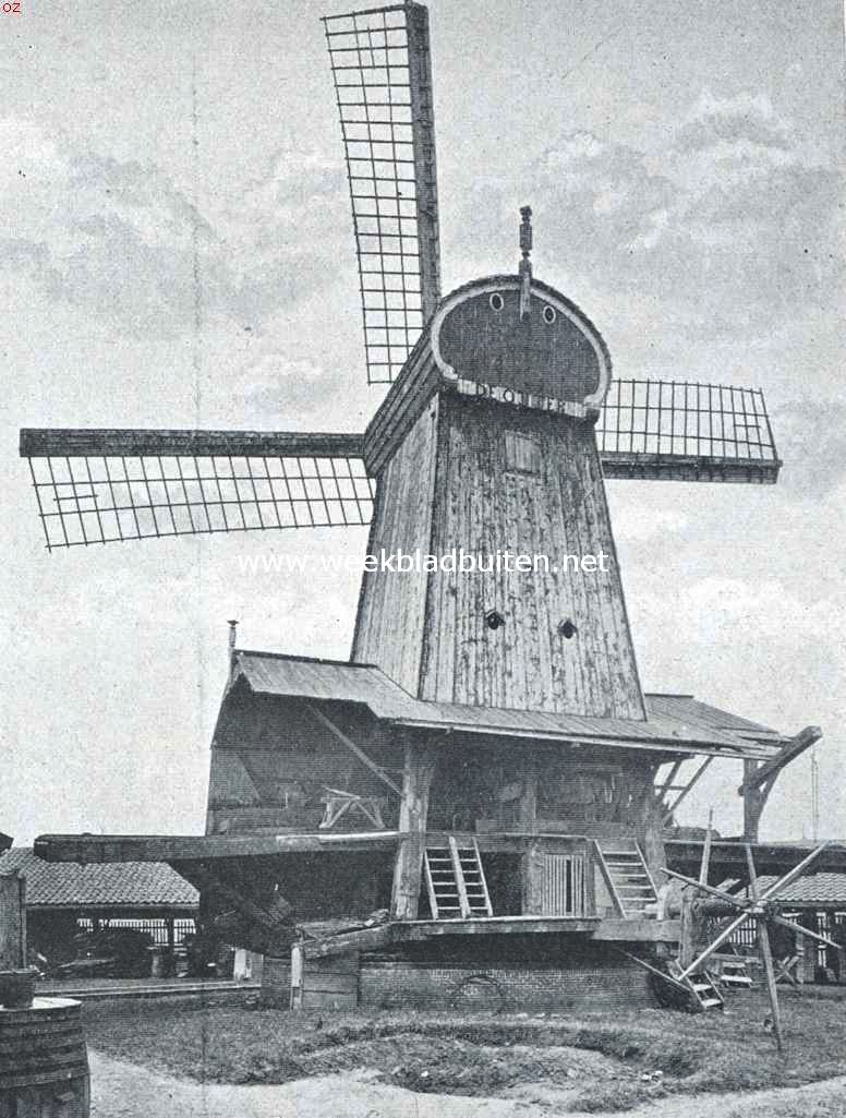 Onze windmolen-typen. Paltrokmolen (houtzaagmolen- onderkruier). De molen 