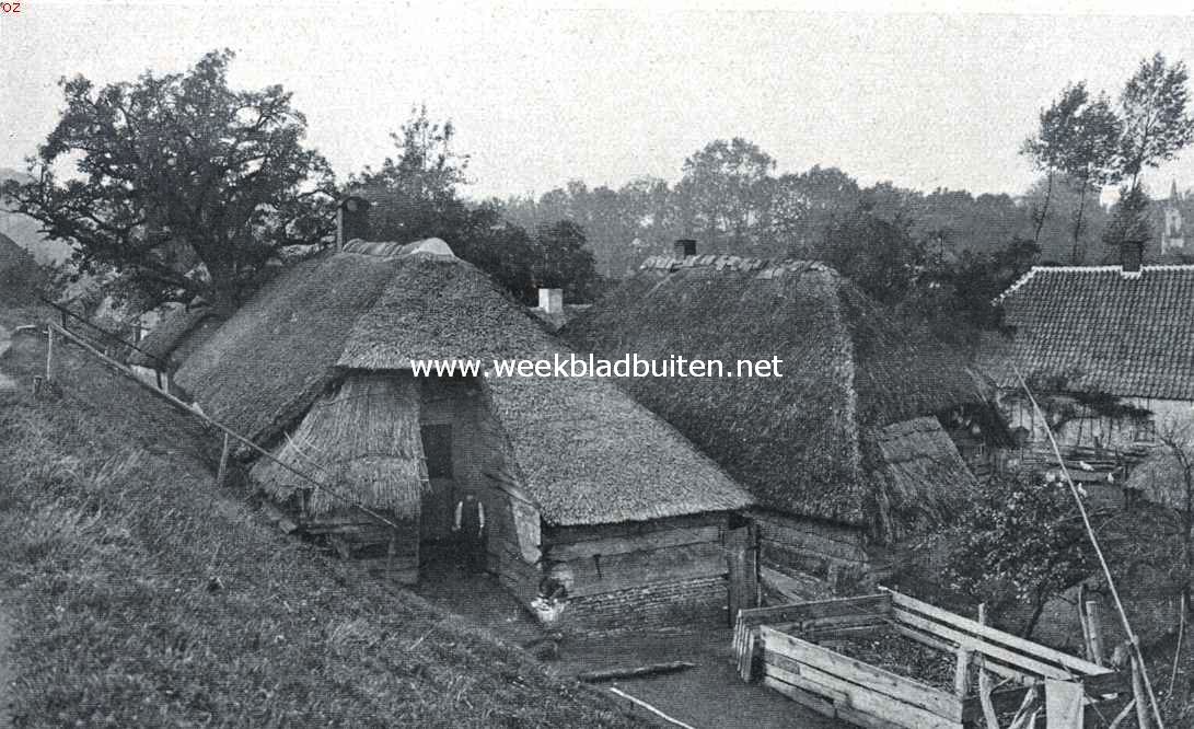 Oude boerenwoningen aan den dijk bij Neerijnen
