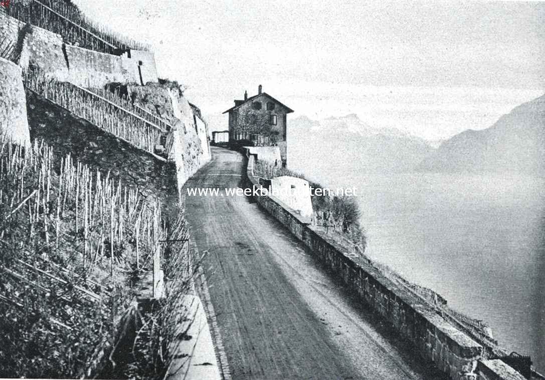 Aan het Meer van Genve. In het wijnland boven Cully