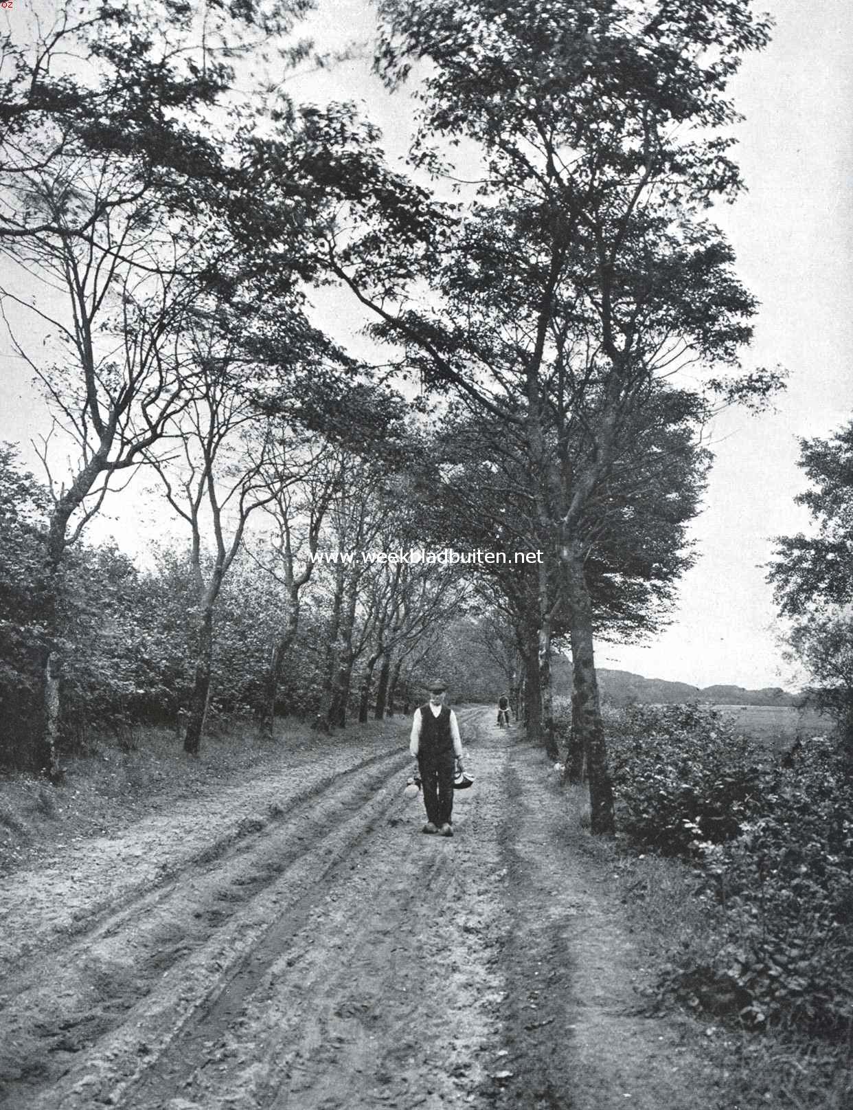Castricum. De weg van Bakkum naar zee